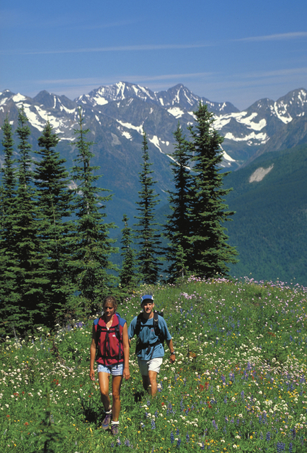 Two hikers walking through a wildflower meadow with snow-capped mountains in the background.
