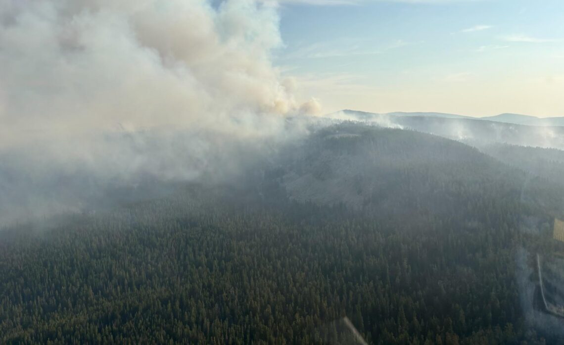 Aerial view of a smoke-filled forest below, with a portion of an airplane wing visible at the top left and blue sky above.