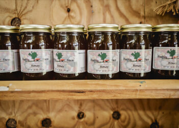 Row of glass honey jars with gold lids on a wooden shelf, labels reading Honey from Peebles Farm.