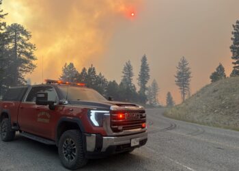 Fire department pickup with emergency lights on a smoky road, forest fire in the background.