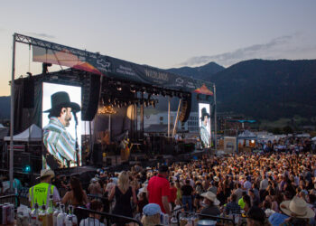 Outdoor concert at Wildlands Festival with large stage, banners, and a crowded audience against mountain backdrop at dusk.
