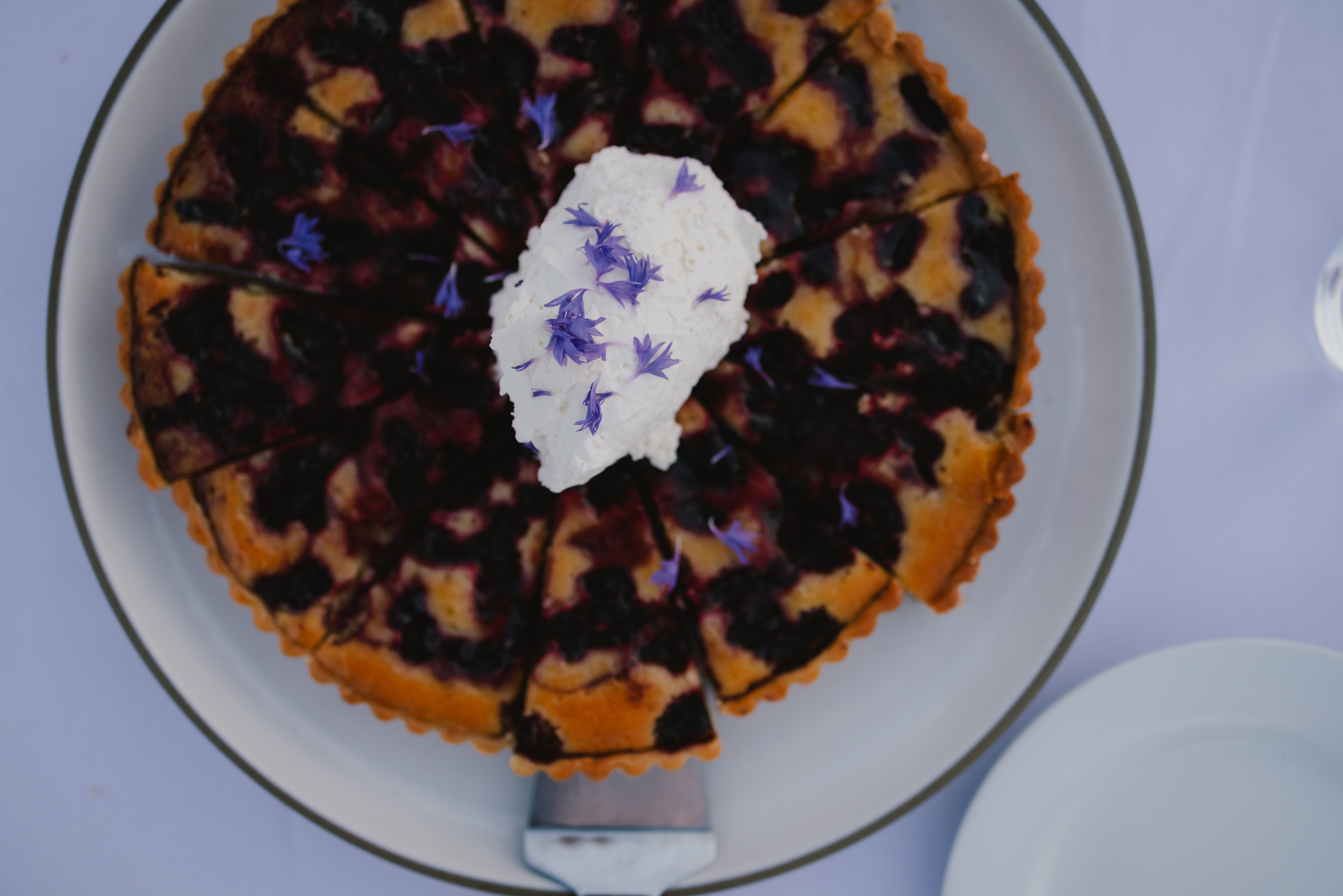 Top-down view of a blueberry pie on a white plate, with a scoop of whipped cream and purple flower petals on top.
