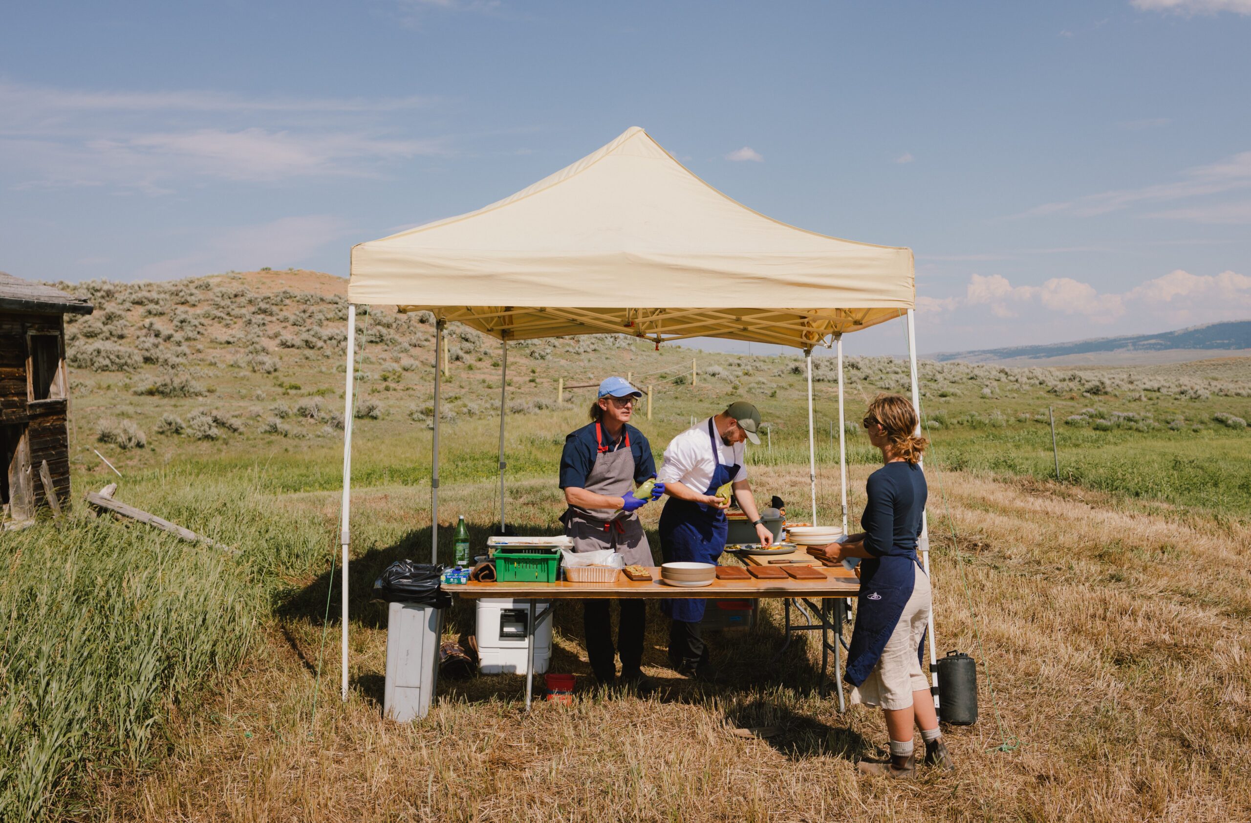 Outdoor food stall under a beige canopy with people cooking and serving in a grassy field.