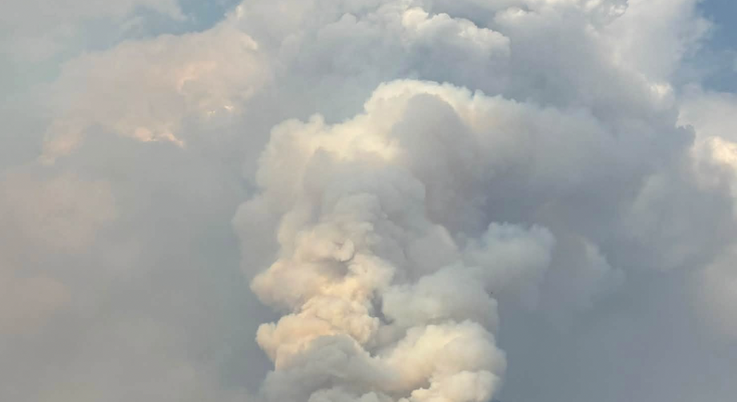 Massive plume of smoke rising from a wildfire over a mountain range, with a forested foreground and open plains.