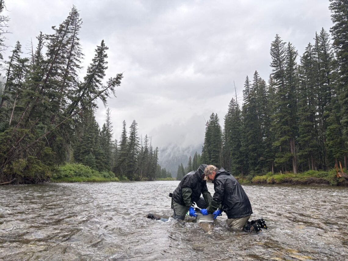 Two people in black waterproof jackets and gloves stand chest-deep in a river, handling equipment with a forested, cloudy backdrop.