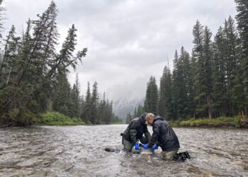 Two people in black waterproof jackets and gloves stand chest-deep in a river, handling equipment with a forested, cloudy backdrop.