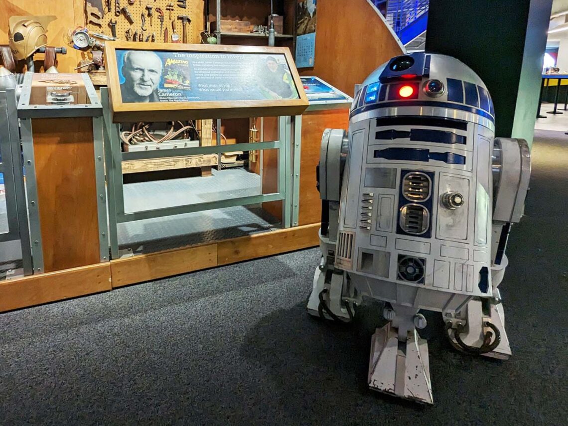 A Season of discovery at Museum of the Rockies