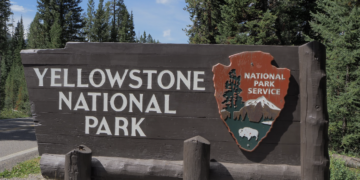 A changing Yellowstone, through the guide’s eyes