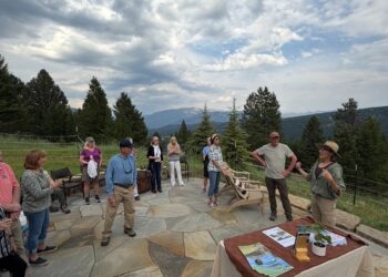 Thriving Landscapes: What we learned from a summer of garden tours