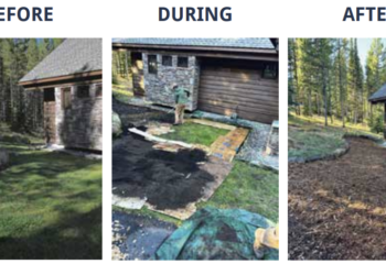 Every Drop Counts: Why turf conversion matters