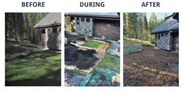 Every Drop Counts: Why turf conversion matters