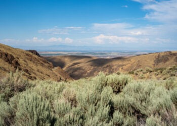 Dispatches from the Wild: Don’t sacrifice public lands to feed the AI machine