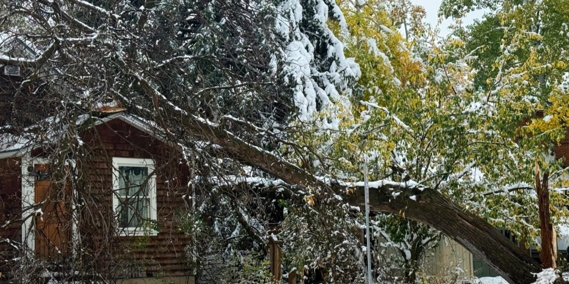 Bozeman forestry crews prioritize safety after early snowstorm damages city trees