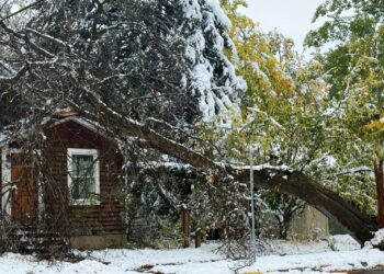 Bozeman forestry crews prioritize safety after early snowstorm damages city trees