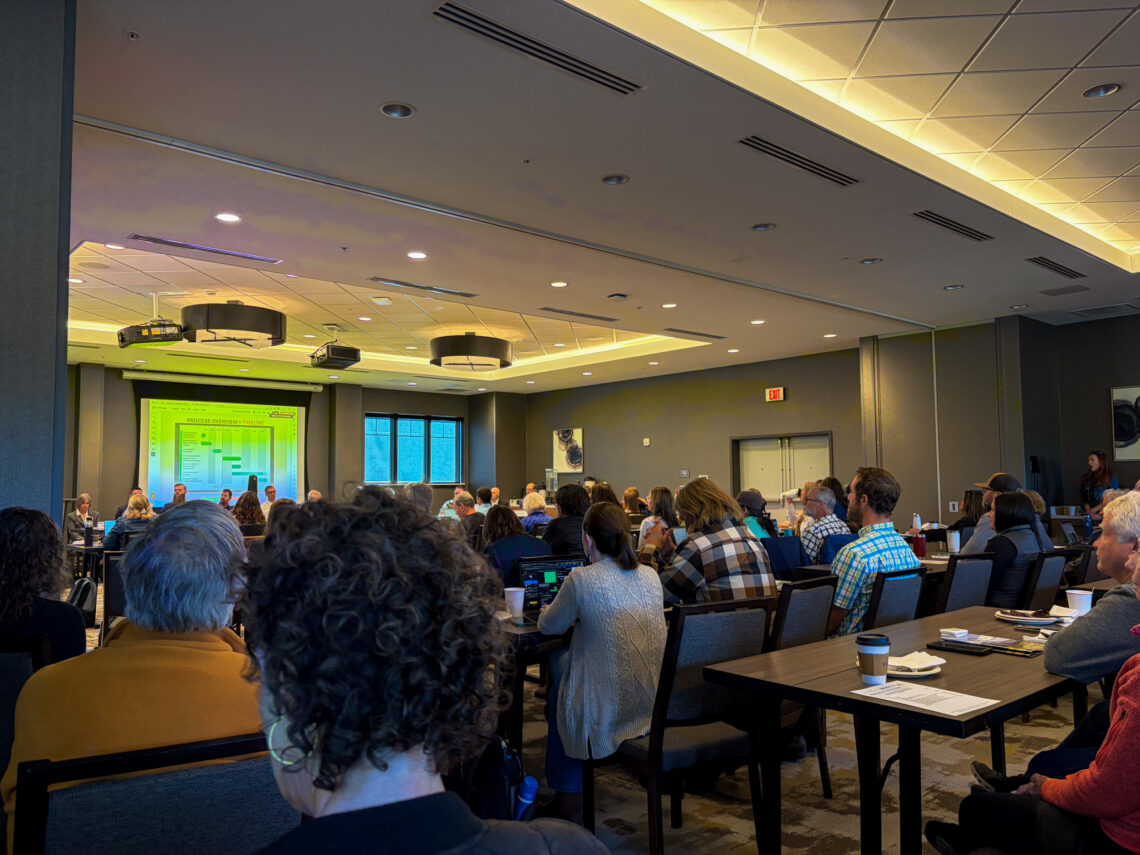 BSRAD unanimously moves TEDD/TIF proposal forward