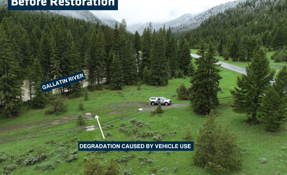 Every Drop Counts: Caring for the Gallatin River